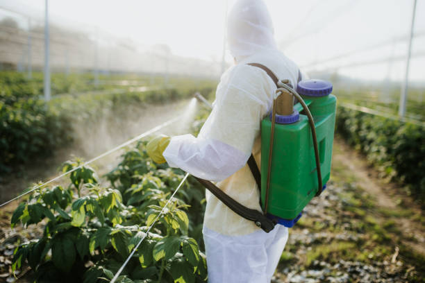 Seasonal Pest Control in Seneca, SC